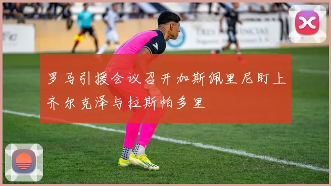 罗马引援会议召开加斯佩里尼盯上齐尔克泽与拉斯帕多里